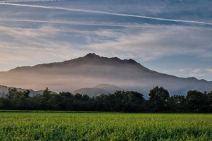 10-BIS-44-pres.-26.9.2019-7.51