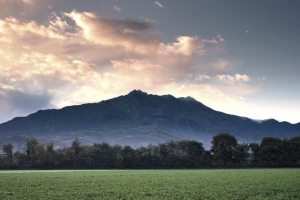 11-BIS-45-pres.-5.11.2019-8.56