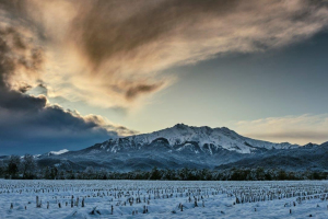 19-BIS-46-pres.-15.11.2019-8.22