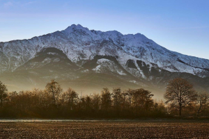 1_13-BIS-25-pres.-30.11.2016-8.35