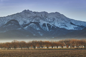 1_14-BIS-28-pres.-30.11.2016-8.20