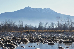 1_17-BIS-1-pres.-28.12.2011-11.39