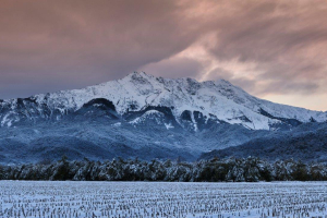 1_18-BIS-47-pres.-15.11.2019-8.13