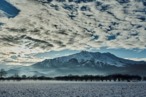 1_20-BIS-22-pres.-28.1.2017-9.12