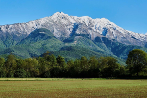 2-bis-31-pres-30.4.2017-17.05