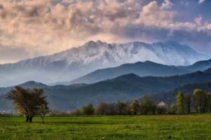 3-BIS-37-pres-18.4.2019-8.08