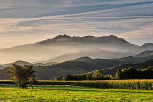 4-BIS-43-pres.-26.9.2019-8.05