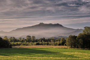 7-BIS-42-pres.-26.9.2019-8.12