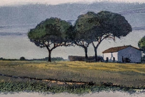 WhatsApp-Image-2025-11-22-at-16.57.12-2