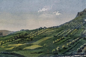 WhatsApp-Image-2025-11-22-at-16.57.12