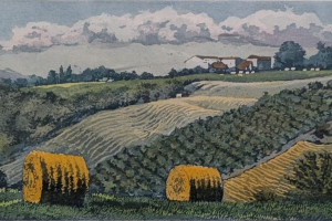 WhatsApp-Image-2025-11-22-at-16.57.13-1