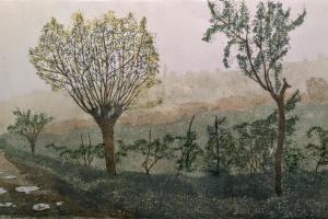 WhatsApp-Image-2025-11-22-at-16.57.13-2