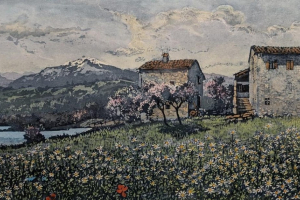 WhatsApp-Image-2025-11-22-at-16.57.56-1