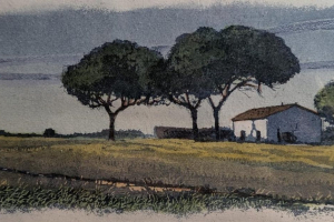 WhatsApp-Image-2025-11-22-at-16.57.56-4